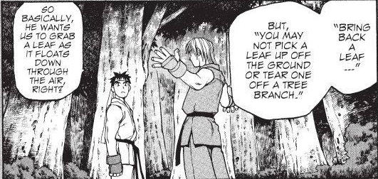 Ryu confronting Akuma